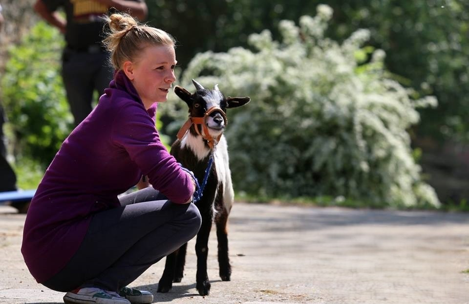 Výroba nábytku na míru